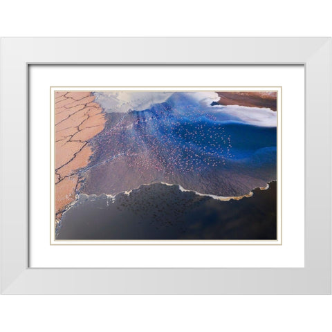 The Flower White Modern Wood Framed Art Print with Double Matting by Chang, Phillip