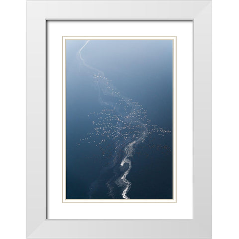 Tree Of Flamoingos White Modern Wood Framed Art Print with Double Matting by Fan, John