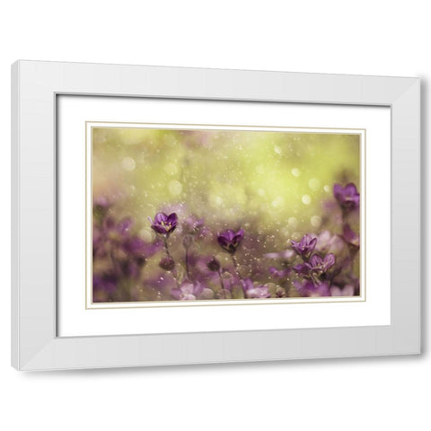 Purple Dream White Modern Wood Framed Art Print with Double Matting by Devos, Delphine