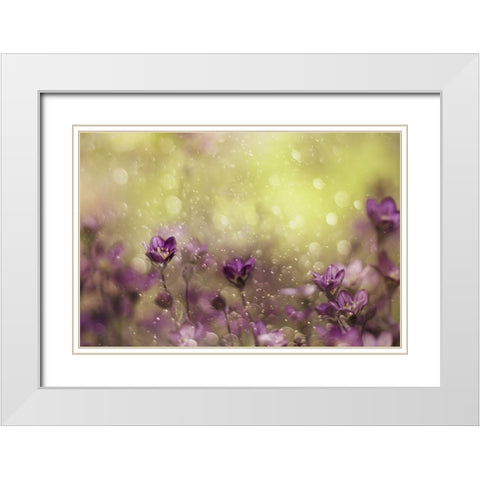 Purple Dream White Modern Wood Framed Art Print with Double Matting by Devos, Delphine