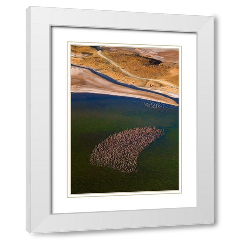 Flamingos On The Lake White Modern Wood Framed Art Print with Double Matting by Fan, John