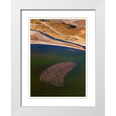 Flamingos On The Lake White Modern Wood Framed Art Print with Double Matting by Fan, John