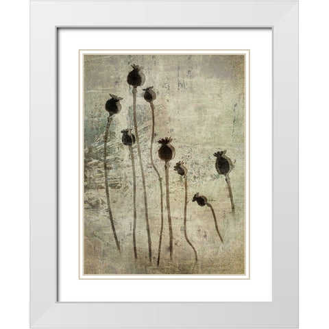 Poppy Seedlings White Modern Wood Framed Art Print with Double Matting by Talen, Nel