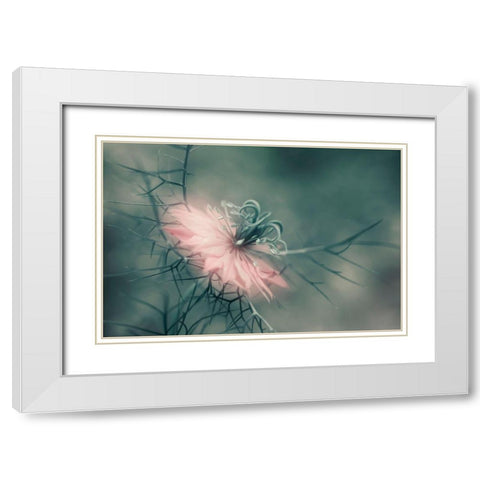 The Virgin White Modern Wood Framed Art Print with Double Matting by Westum, Heidi