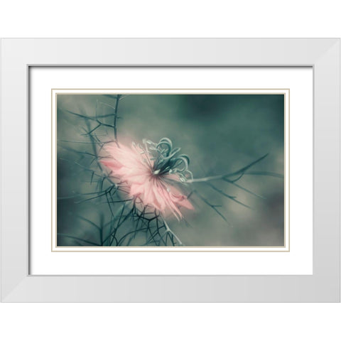 The Virgin White Modern Wood Framed Art Print with Double Matting by Westum, Heidi