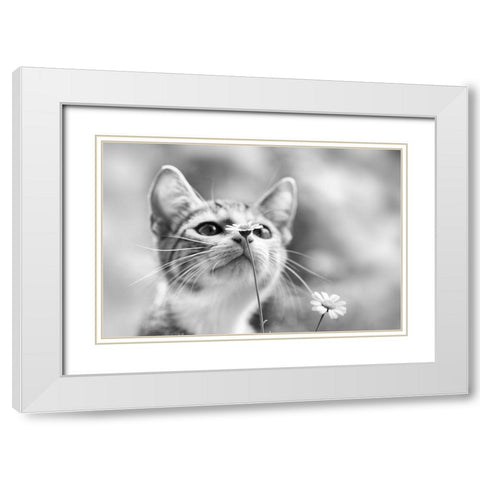 Curious White Modern Wood Framed Art Print with Double Matting by Delrue, Mirjam