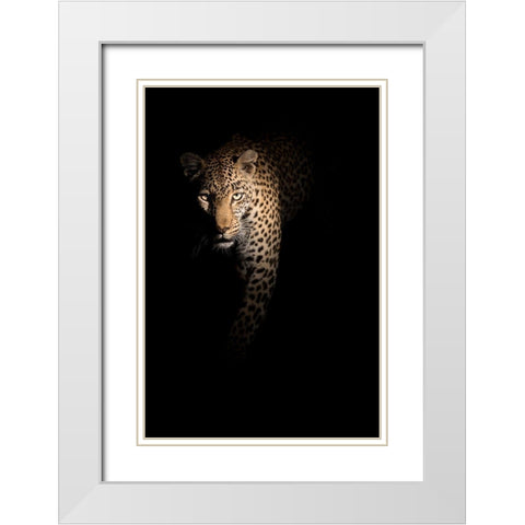 Out Of The Darkness White Modern Wood Framed Art Print with Double Matting by Guijt, Richard