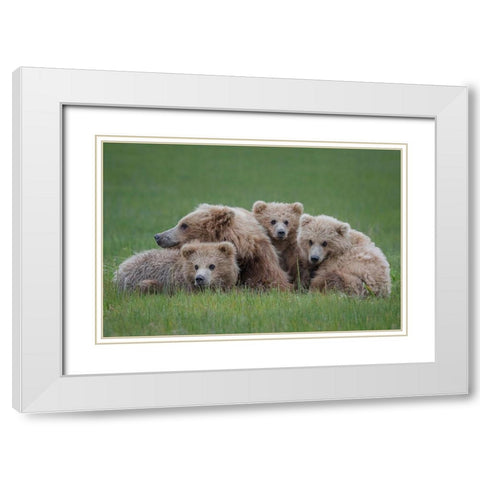 Bear Huddle White Modern Wood Framed Art Print with Double Matting by Doyle, Renee