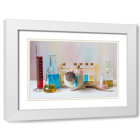 Qworkingq At The Lab White Modern Wood Framed Art Print with Double Matting by Van Deelen, Ellen