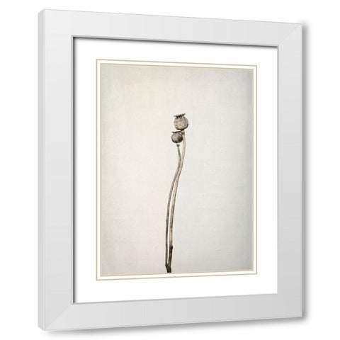 Two Old Poppies White Modern Wood Framed Art Print with Double Matting by Gronkjar, Lotte