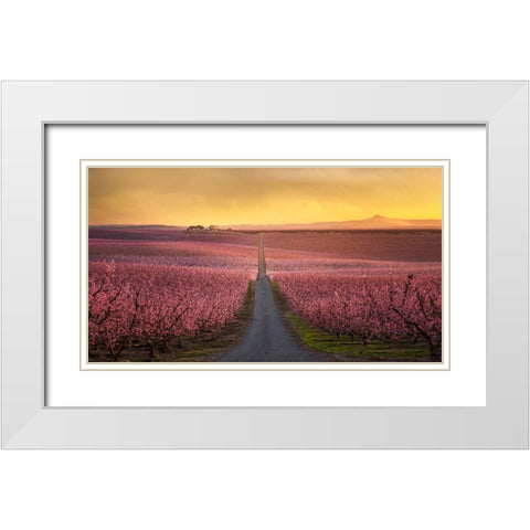 Flowering White Modern Wood Framed Art Print with Double Matting by Guerola, Joaquin