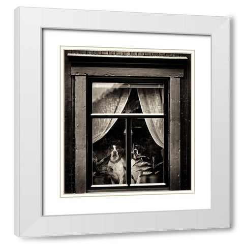 Dogs White Modern Wood Framed Art Print with Double Matting by Oncete, Julien