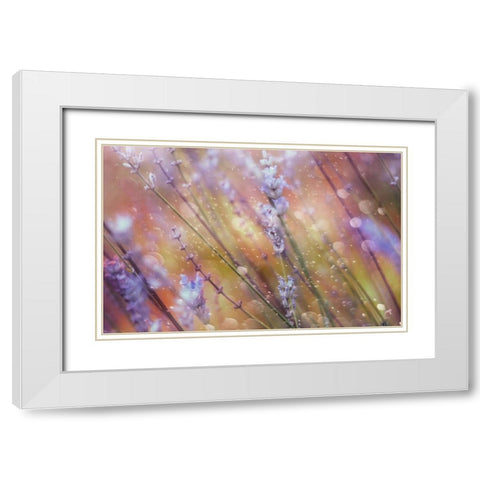 Something Magical White Modern Wood Framed Art Print with Double Matting by Devos, Delphine