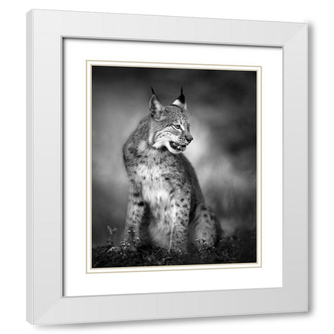 U N I Q U E White Modern Wood Framed Art Print with Double Matting by Fegari