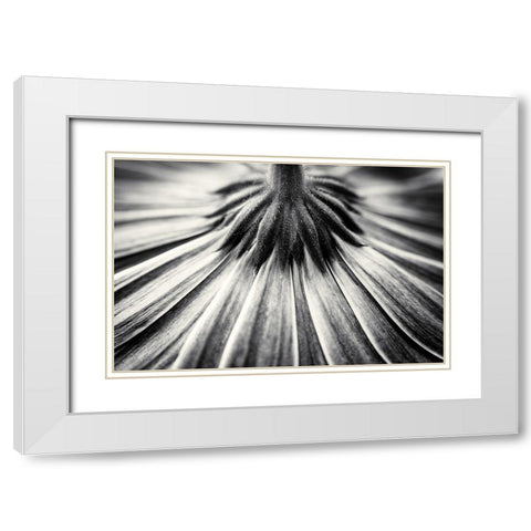 Feeling Down White Modern Wood Framed Art Print with Double Matting by Van Der, Corinna