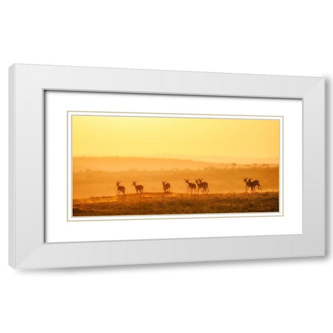 Towards Sunset White Modern Wood Framed Art Print with Double Matting by Fan, John