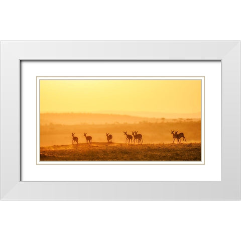 Towards Sunset White Modern Wood Framed Art Print with Double Matting by Fan, John