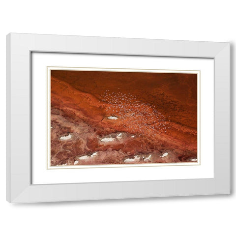 The Overlook White Modern Wood Framed Art Print with Double Matting by Chang, Phillip