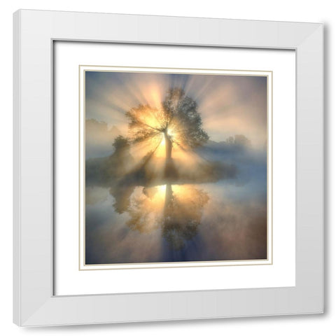 Tree Of Light White Modern Wood Framed Art Print with Double Matting by Keller