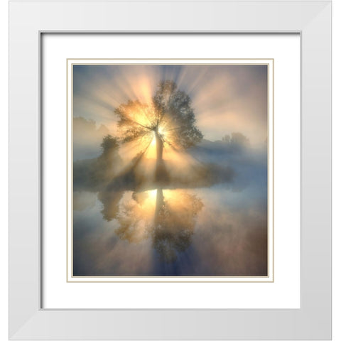 Tree Of Light White Modern Wood Framed Art Print with Double Matting by Keller