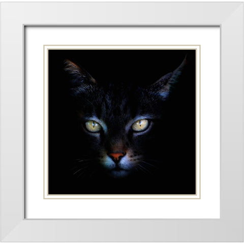 Untitled White Modern Wood Framed Art Print with Double Matting by Grambone, Antonio