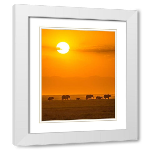 Elephants At Sunset White Modern Wood Framed Art Print with Double Matting by Taylor, Ted