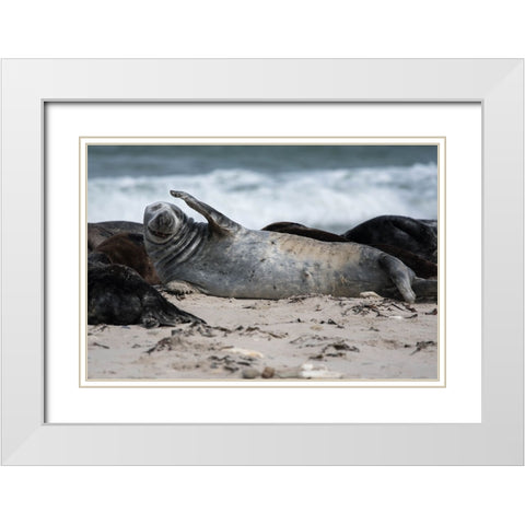 A Headache White Modern Wood Framed Art Print with Double Matting by Bewernick, Erhard