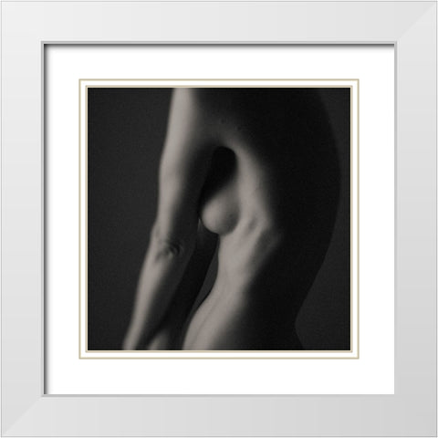 Shaded White Modern Wood Framed Art Print with Double Matting by Brackstone, Mel