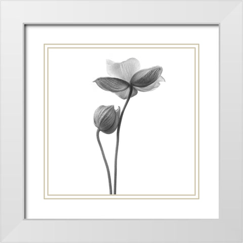 A Little Touch - Monochrome White Modern Wood Framed Art Print with Double Matting by Gronkjar, Lotte