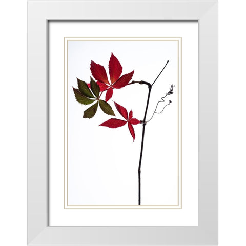 Simple White Modern Wood Framed Art Print with Double Matting by Lagandre Transgressed, Thierry