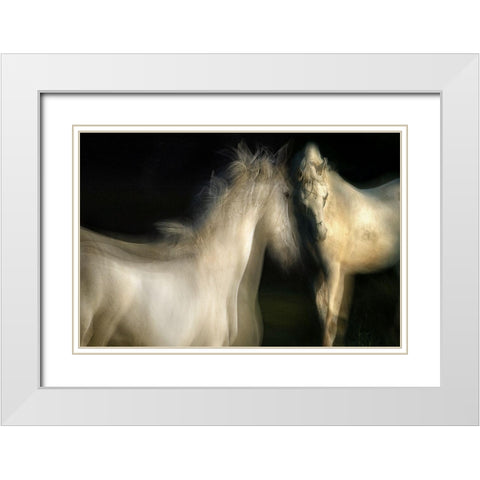 Grace White Modern Wood Framed Art Print with Double Matting by Malovrh, Milan