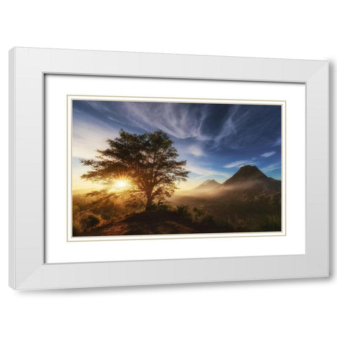 Pinggan Tree. White Modern Wood Framed Art Print with Double Matting by Pablo De, Juan
