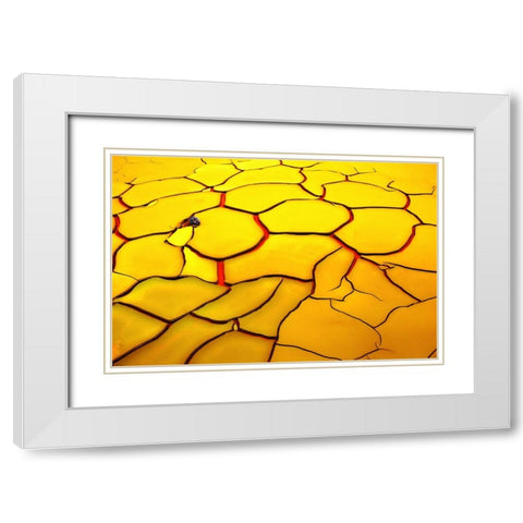 Yellow Ground, Red Heart White Modern Wood Framed Art Print with Double Matting by De Juan, E.