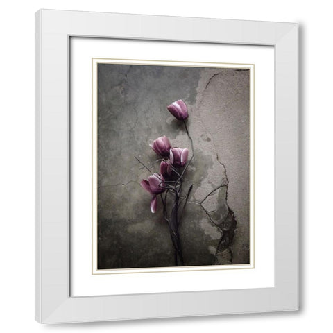 The Tulip White Modern Wood Framed Art Print with Double Matting by Lagaa, Kahar