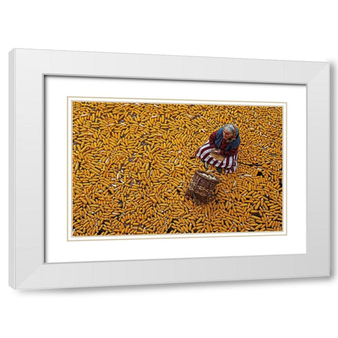 Corn Apap White Modern Wood Framed Art Print with Double Matting by Zengin, Mustafa