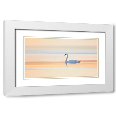 Swan White Modern Wood Framed Art Print with Double Matting by Londal, Leif