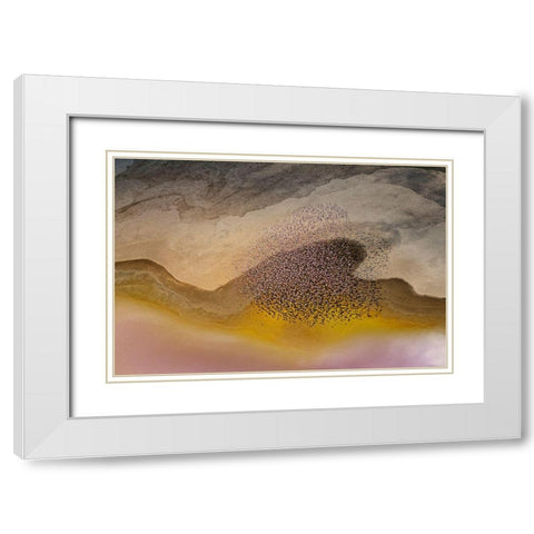 Crossing Natron Lake White Modern Wood Framed Art Print with Double Matting by Chang, Phillip
