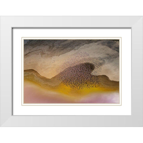 Crossing Natron Lake White Modern Wood Framed Art Print with Double Matting by Chang, Phillip