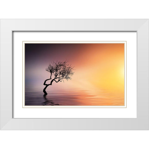 Tree At Lake White Modern Wood Framed Art Print with Double Matting by Hamiti, Bess