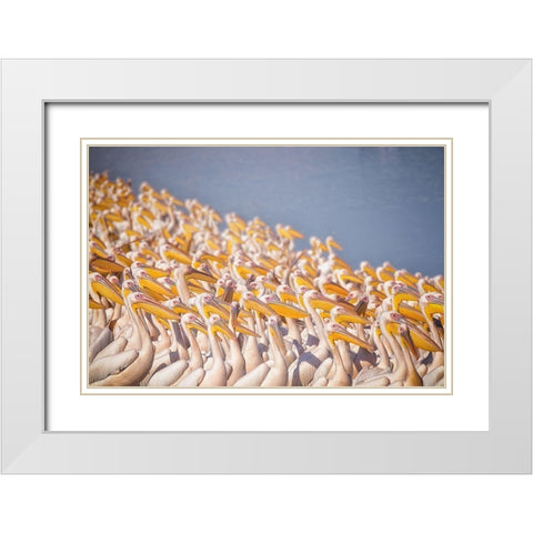 Untitled White Modern Wood Framed Art Print with Double Matting by Or, Keren