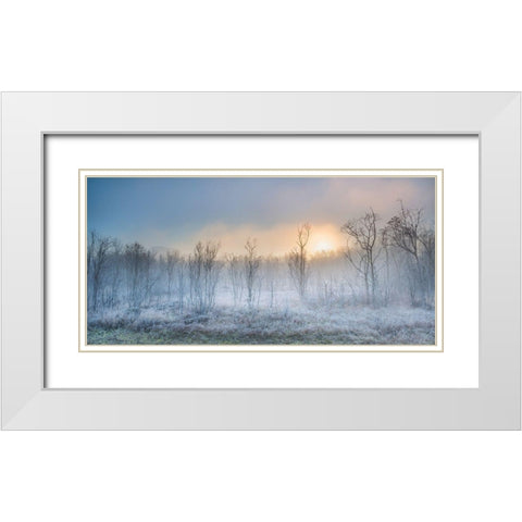 A Touch Of Winter White Modern Wood Framed Art Print with Double Matting by Jochen, Burger