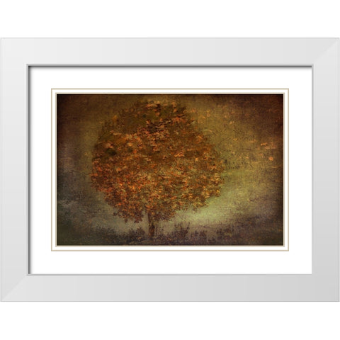 Autumn Tree White Modern Wood Framed Art Print with Double Matting by Talen, Nel