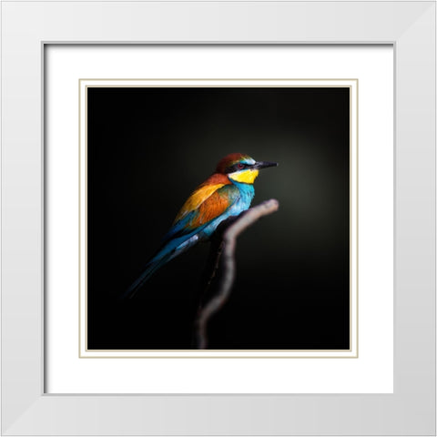 Colorful Darkly White Modern Wood Framed Art Print with Double Matting by Fegari