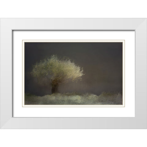 Willow White Modern Wood Framed Art Print with Double Matting by Talen, Nel