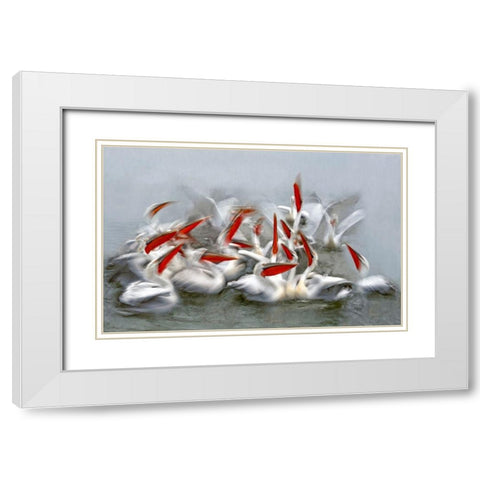 Pelicans In Motion Blur White Modern Wood Framed Art Print with Double Matting by Ortega, Xavier