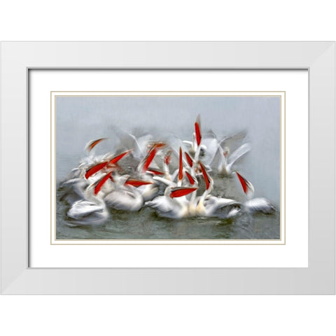 Pelicans In Motion Blur White Modern Wood Framed Art Print with Double Matting by Ortega, Xavier