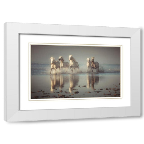 Camargue Horses White Modern Wood Framed Art Print with Double Matting by Anton, Rostovskiy