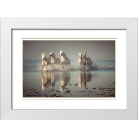 Camargue Horses White Modern Wood Framed Art Print with Double Matting by Anton, Rostovskiy