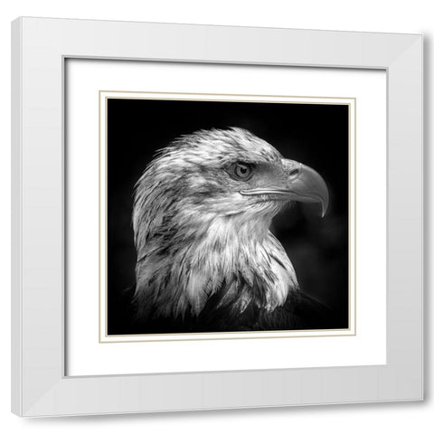 Majestic White Modern Wood Framed Art Print with Double Matting by Pfeiffer, Peter