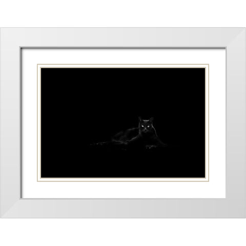 Cat White Modern Wood Framed Art Print with Double Matting by Ljubicic, Dusan